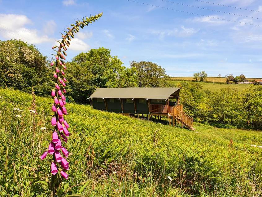 Brackenhill Glamping - Safari Tent With Hot Tub - Sleeps 6 أيفي بريدج المظهر الخارجي الصورة